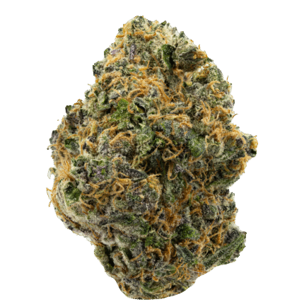 Divine-Banana-Strain
