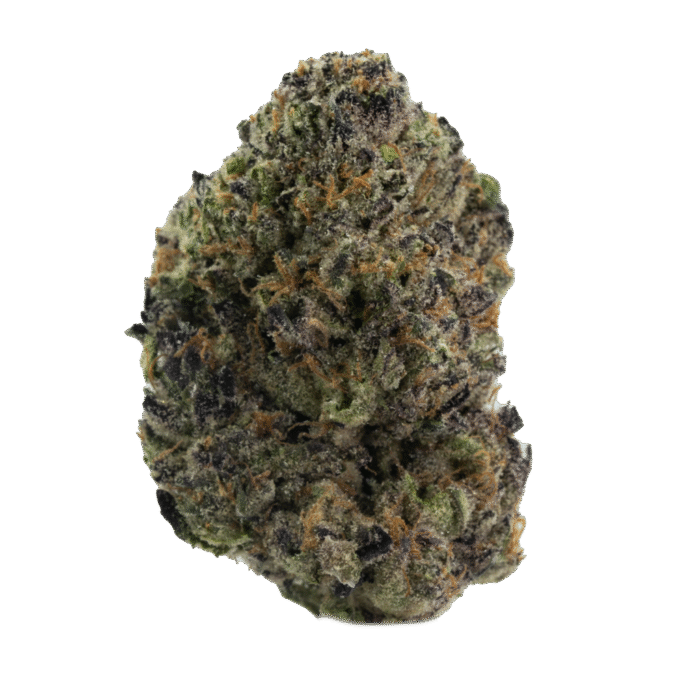 Gush Mintz - Image 1