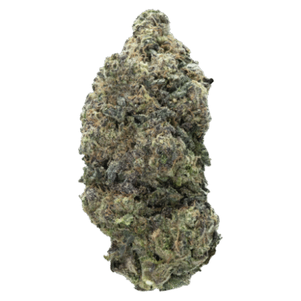 Hash-Burger-Strain
