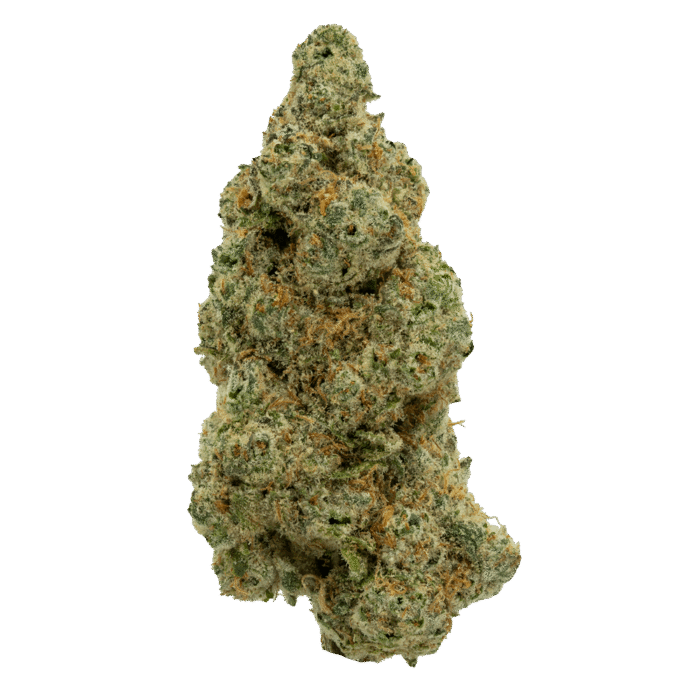 Mule-Fue - Image 1