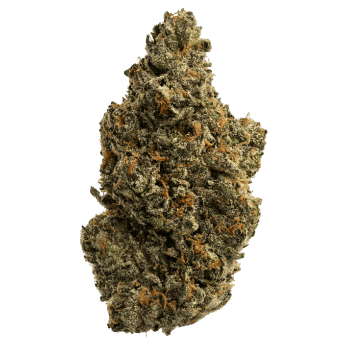 Biscotti Sherbet - Image 1
