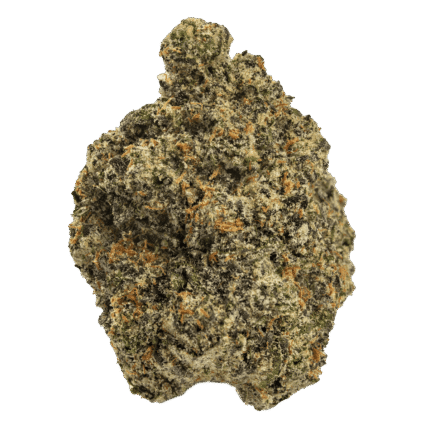 Black Scotti