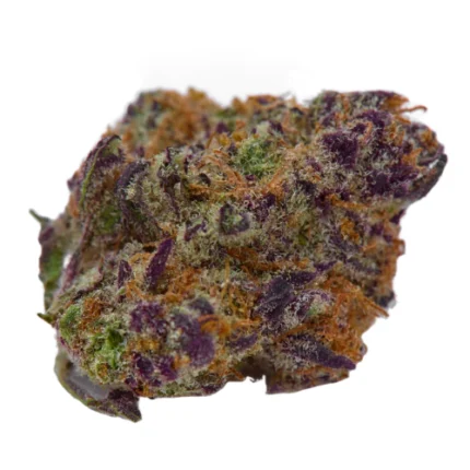 Jenny Kush Weed Strain
