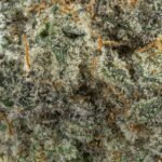 Mac 1 - Image 2