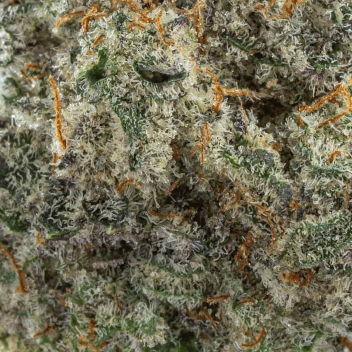 Mac 1 - Image 2