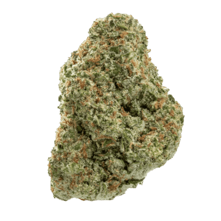Papaya Punch