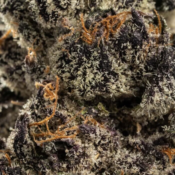 Payton Cookies - Image 2