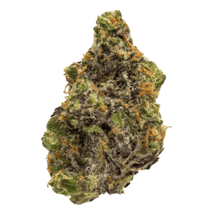 Karamel Kut Throat