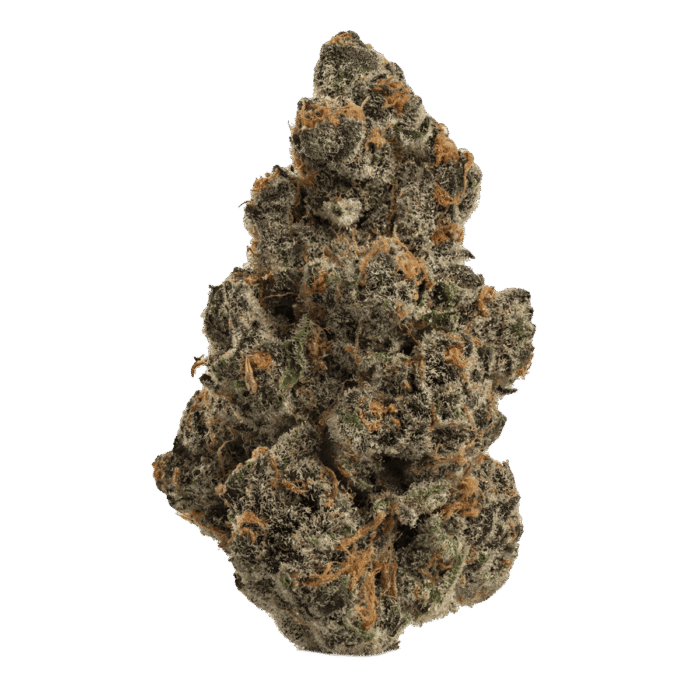 Super Boof - Image 1