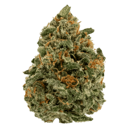 Super Silver Haze